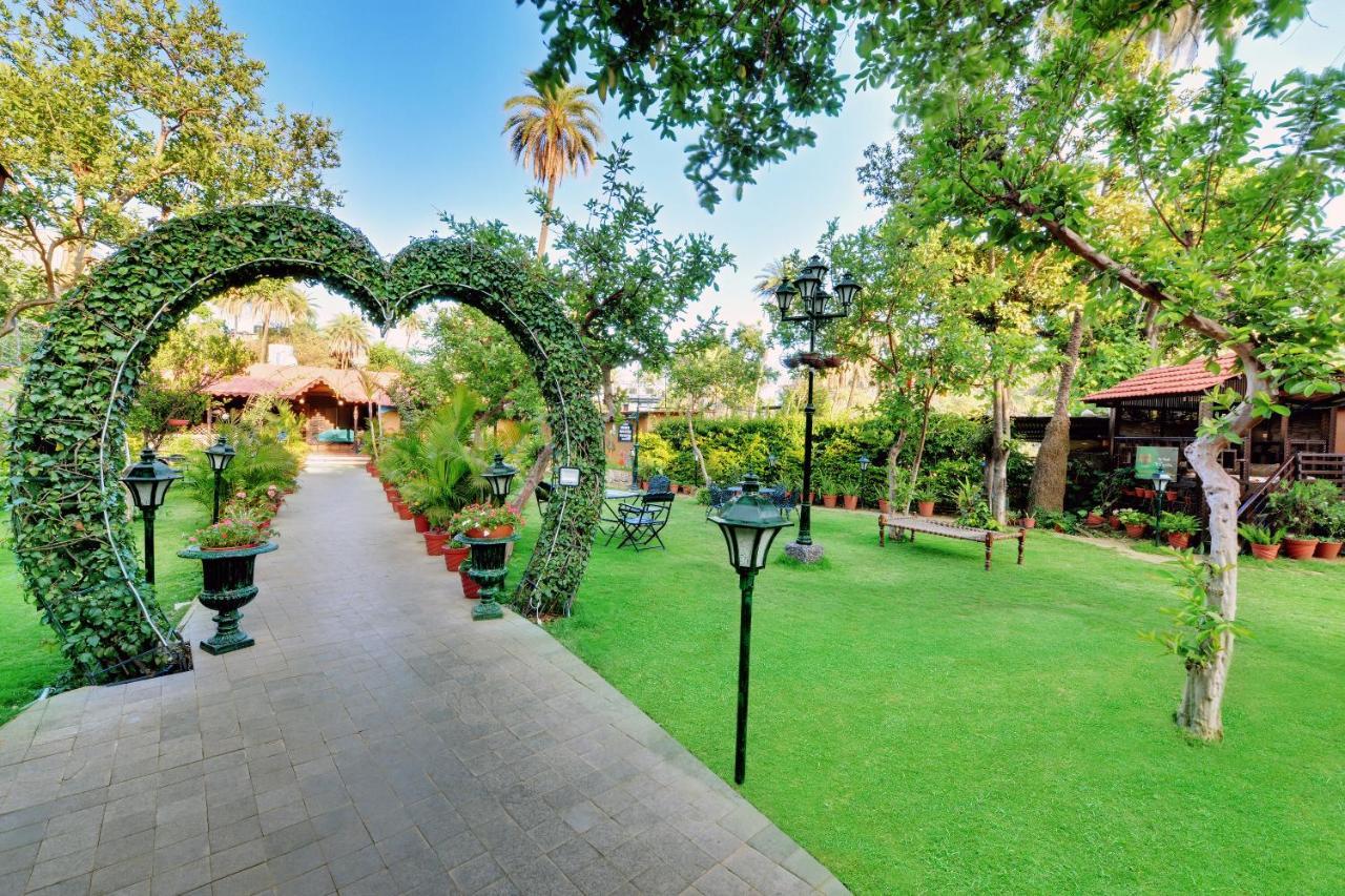 Chacha Inn The Garden Retreat Mount Abu Eksteriør bilde